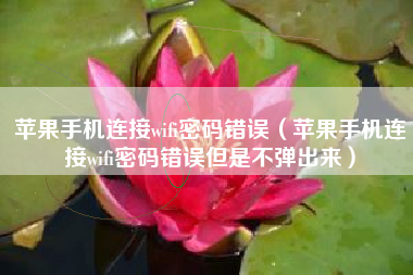 苹果手机连接wifi密码错误(苹果手机连接wifi密码错误但是不弹出来)