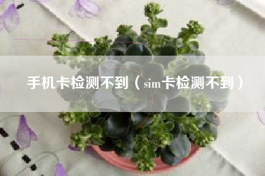 手机卡检测不到(sim卡检测不到)