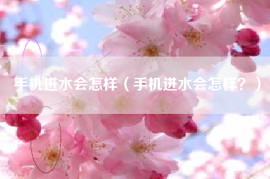 手机进水会怎样(手机进水会怎样?)