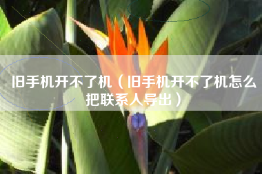 旧手机开不了机(旧手机开不了机怎么把联系人导出)