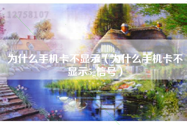 为什么手机卡不显示(为什么手机卡不显示5g信号)